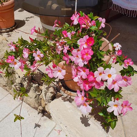 Bed and Breakfast Fenetre Sur Les Alpilles Сен-Мартен-де-Кро Екстер'єр фото